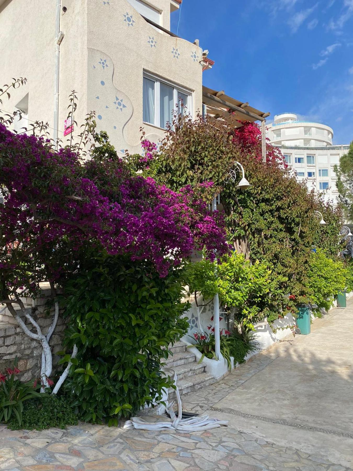 Superior Private At The In * Saranda
