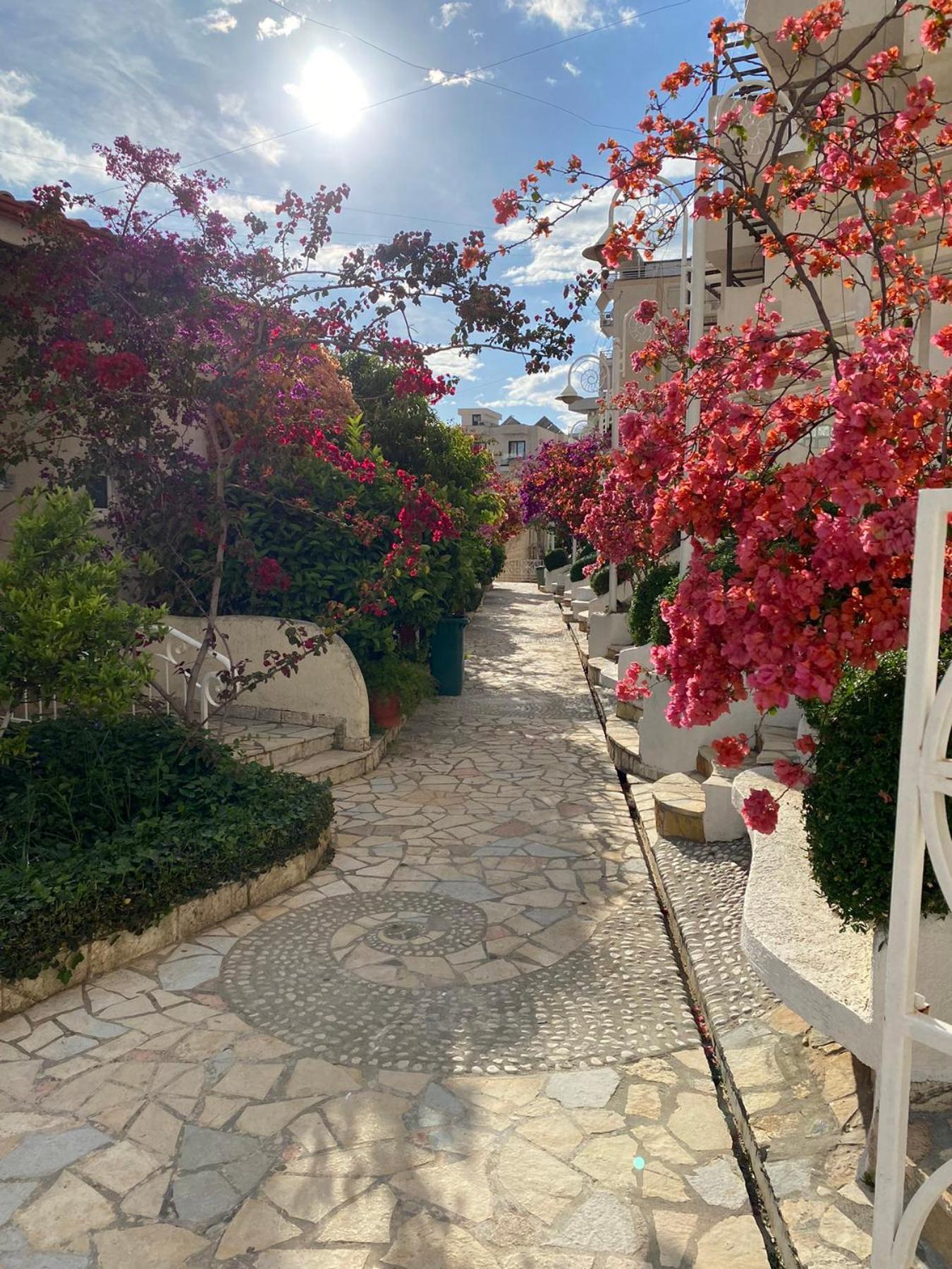 Superior Private At The In Saranda